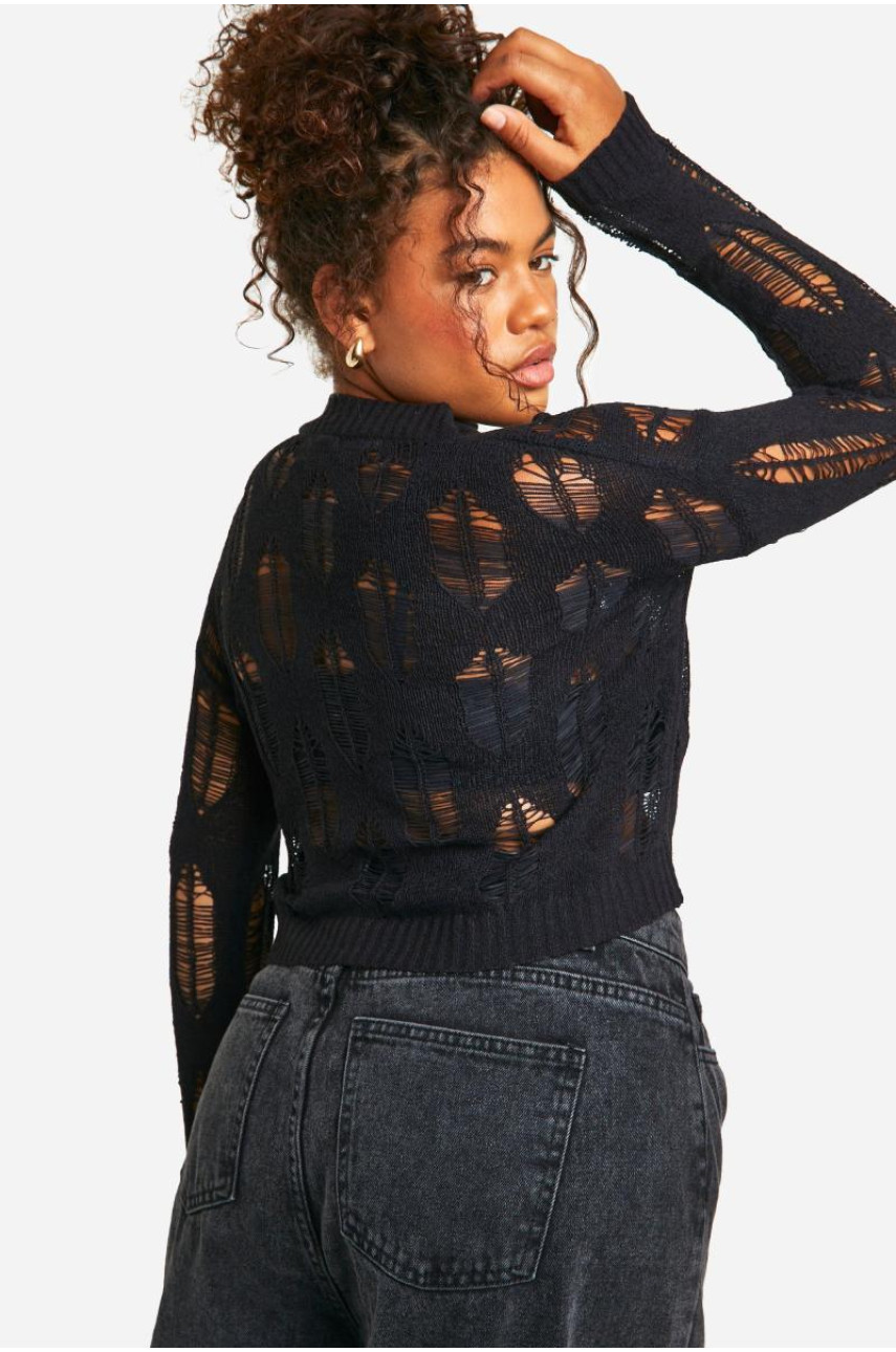 Плюс прозорий джемпер із деталями сходів