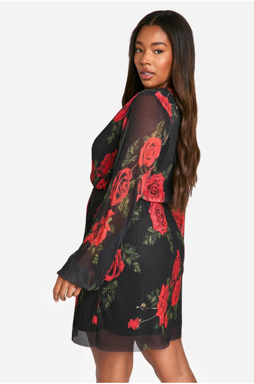 Плаття-ковзанярка з плісе з трояндовим принтом